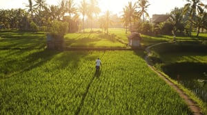 Findthevalueofmyland